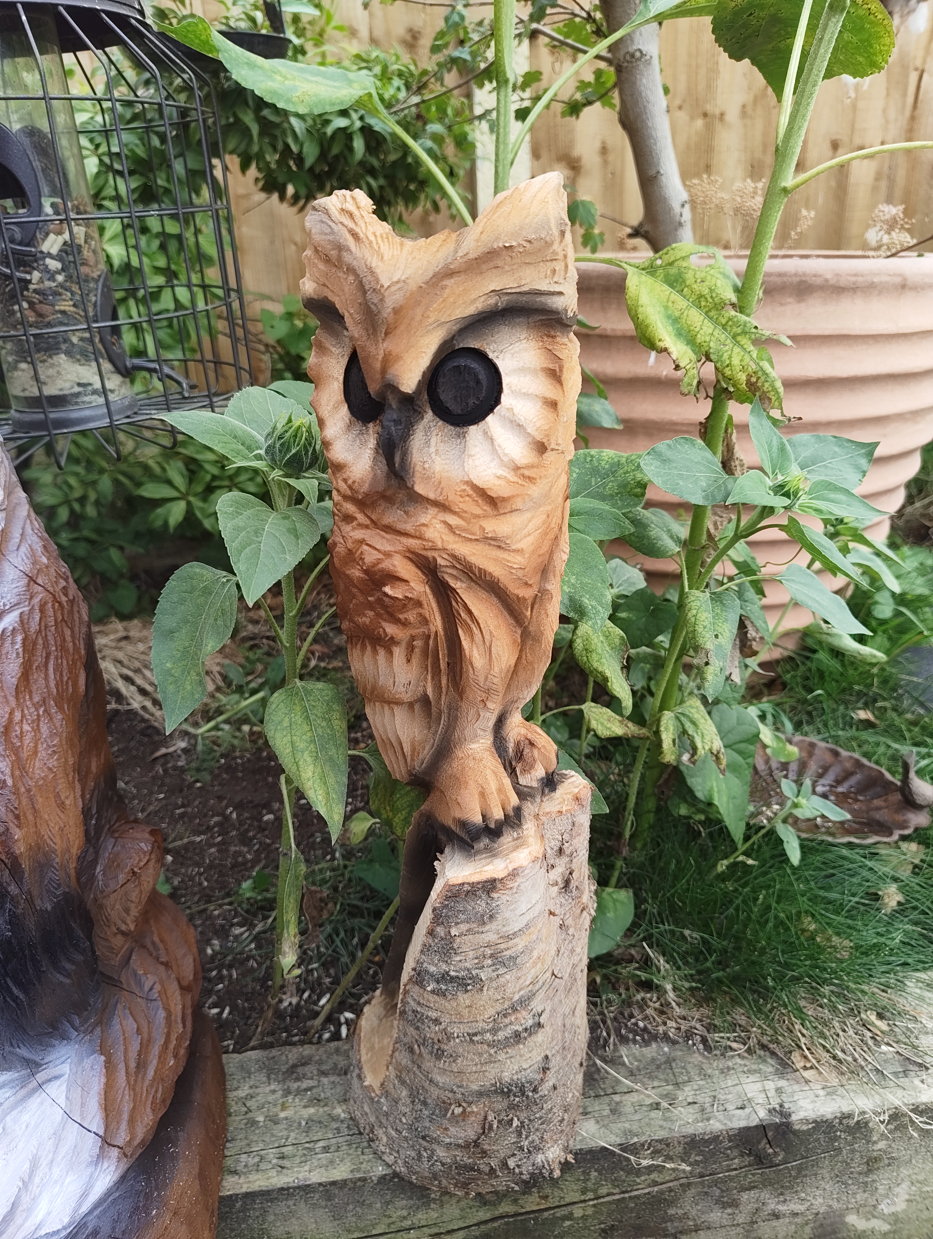 long-eared owl carving 50 cm